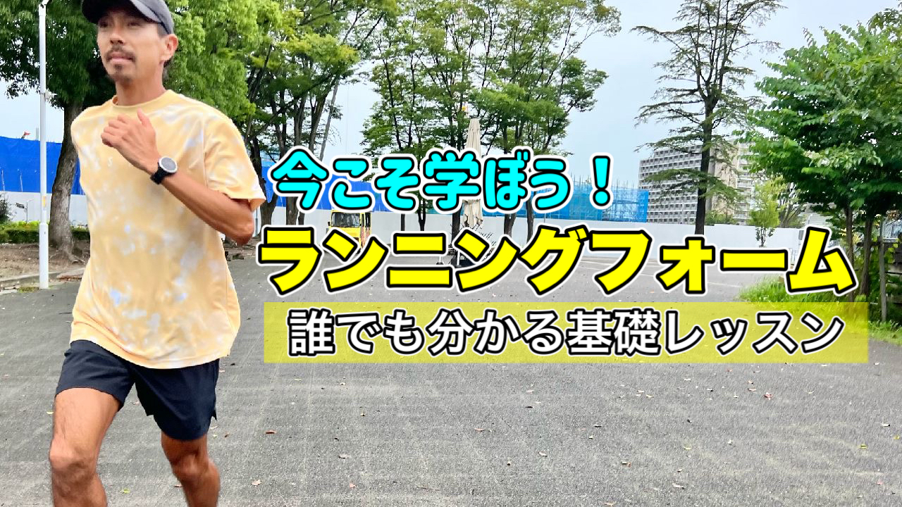 安い さら名城 タオル